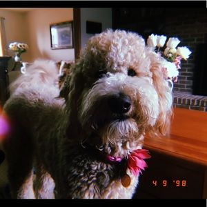 Meet your Posher, Julianna